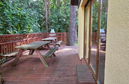 Żółty Domek nad Jeziorem Lubniewice - Foto 7