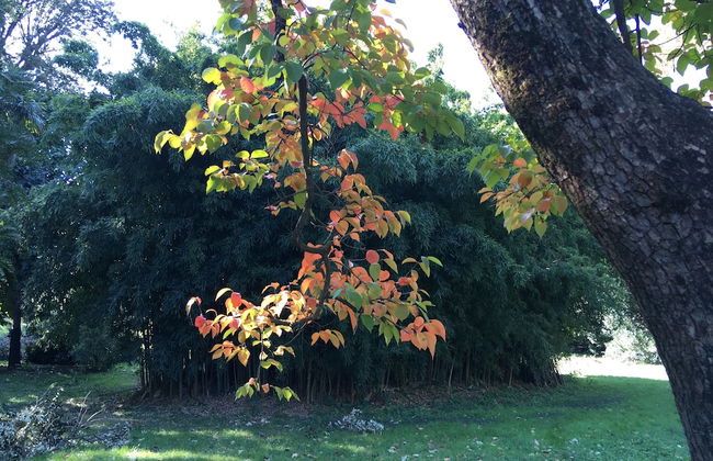 Villa La Dogana - Foto 73