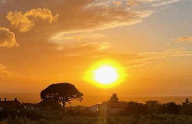 Villa Vinova Loza - Foto 20