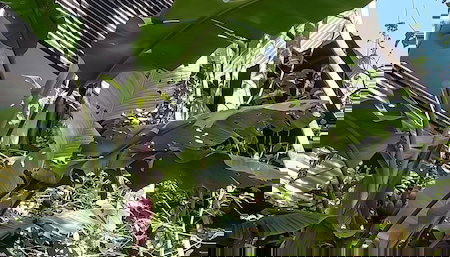 Skale peregrino ecolodge - Foto 5, Quarto