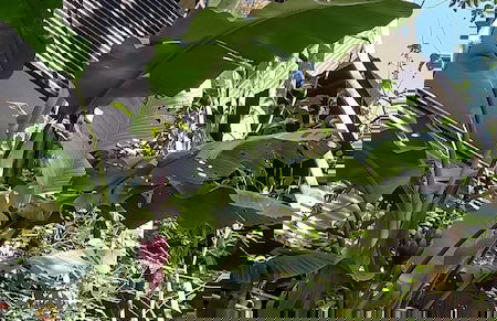 Skale peregrino ecolodge - Foto 5