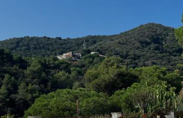 Villa Alella, 5 bedrooms & pool - Foto 38