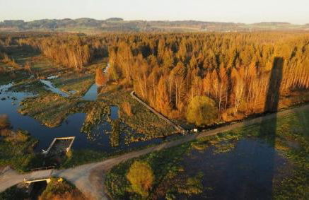 Ferienwohnung Deppler - Foto 20