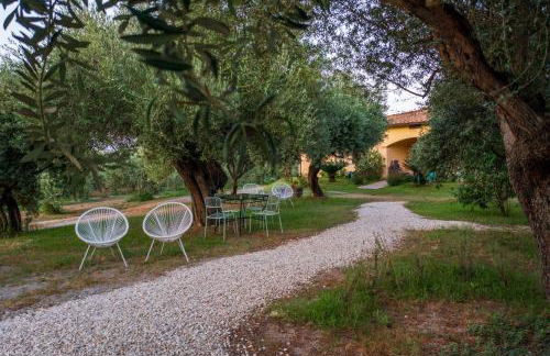 Armandiola - Foto 13