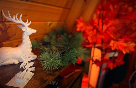 Mazurski Apartament - Foto 29