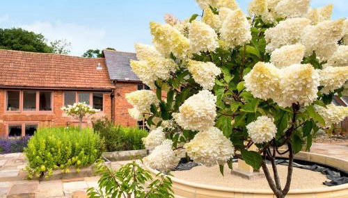 Finest Retreats - Ivy Cottage, Great Houndbeare Farm - Foto 5