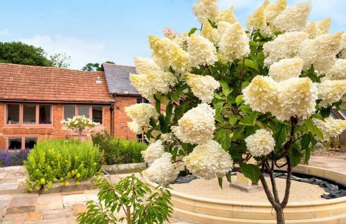 Finest Retreats - Ivy Cottage, Great Houndbeare Farm - Foto 5