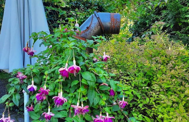 der Englische Garten - Photo 17