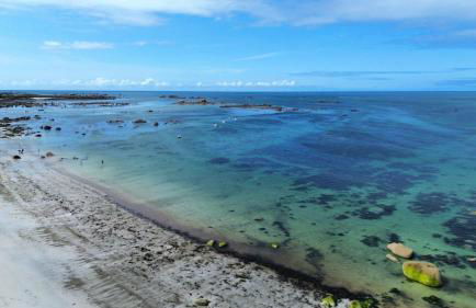 500m de la mer, maison moderne avec jardin pour 4 - Foto 19