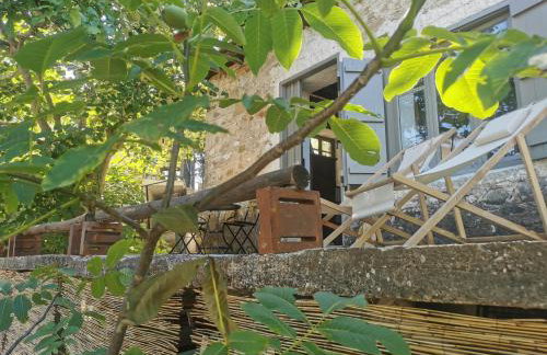 Dendrocopos Medius - Photo 24