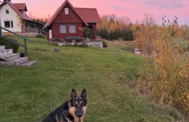 Wzgórze Artystów - Foto 25