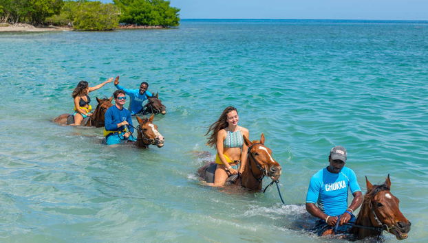 A once-in-a-lifetime horse riding experience!