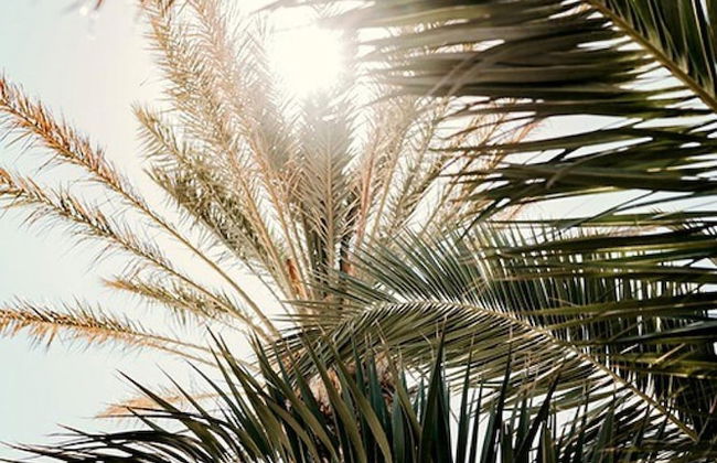 Bonora Country Houses - Askeri - Foto 25