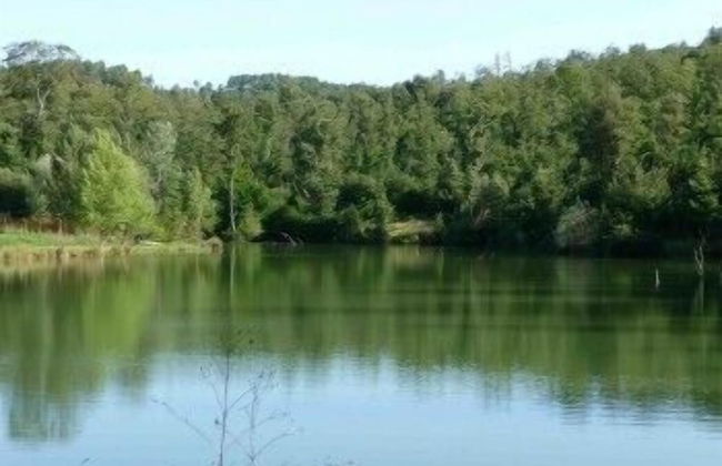 San Bernardino del Lago - Foto 64