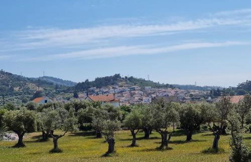Casa da Avó Ana - Peroviseu - Serra da Gardunha - Serra da Estrela - Foto 74