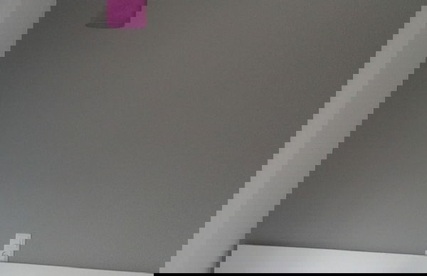 La Rosaleda - Foto 5