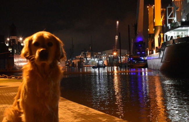 Charming Apaartment in Bremerhaven - Foto 11