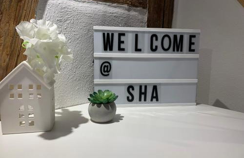 Zentrale Altbauwohnung mit Flair - Foto 12