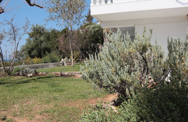 Apollon Apartments - Photo 18