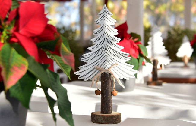 QuodLibet - Photo 56