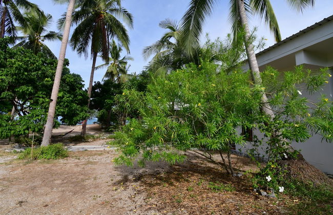 155 SalaCoco - Foto 35