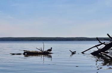 KapLuv Plau am See - Foto 27