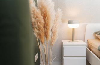 DAS GRÜNE NEST Münsterland Living - Foto 10