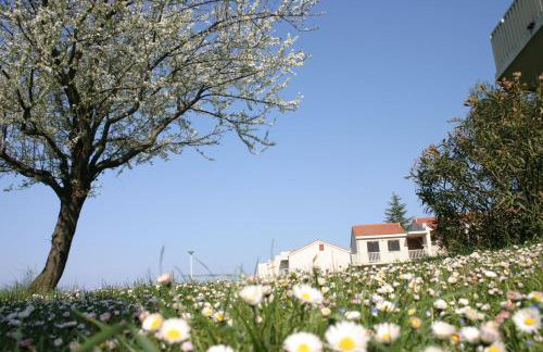 Apartments Polynesia Plava Laguna - Foto 66