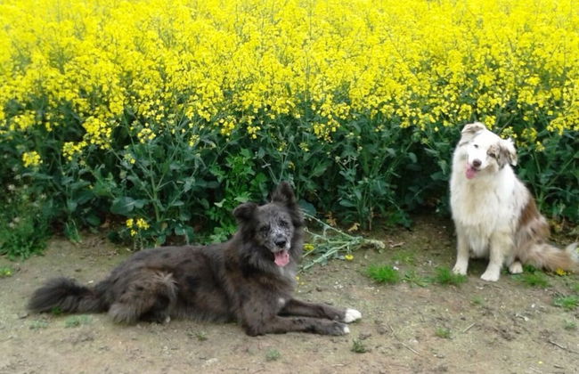 Chrissi's Baltic Sea Nest - Foto 11