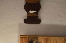 Quinta da Utopia - Foto 12