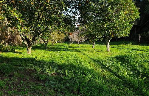 Quinta de São Pedro - Photo 74