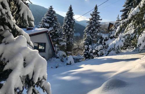 Domek Koziołek przy szlaku, Szyndzielnia, Klimczok, Szczyrk, Bania - Foto 29