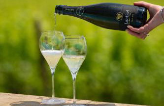 Corte Lantieri - Photo 30