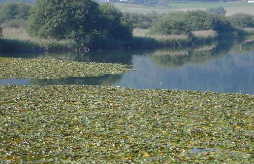 Ferienwohnung Eifelluft - Foto 19