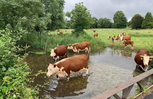 Lane End Cottage, Ovington - Foto 65