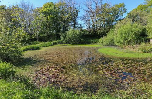 Chapel Hill House - Foto 34