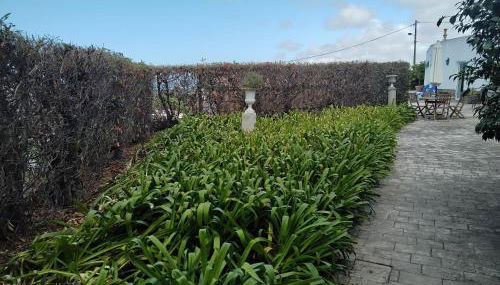 Nice Quinta in the florest of sintra - Foto 5