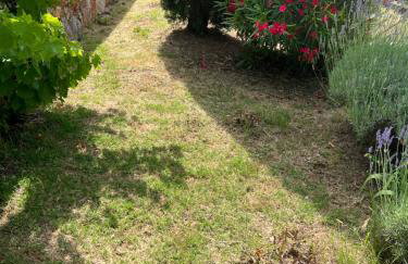 Apartment Ivanka - Foto 42