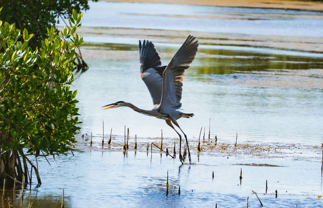 Everglades Day Trip - Photo 5