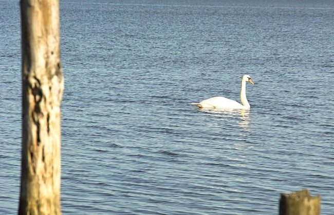 Ferienhaus Waldblick - Foto 33