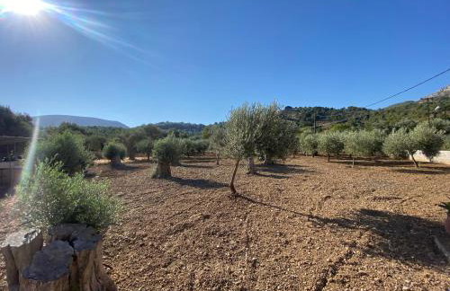 A wooden house in Kardamyla - Foto 61