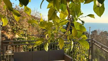 Gassa d'Amante - Foto 2, Garden, Garden view