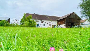 Bauernhaus am Sallingbach - Foto 2
