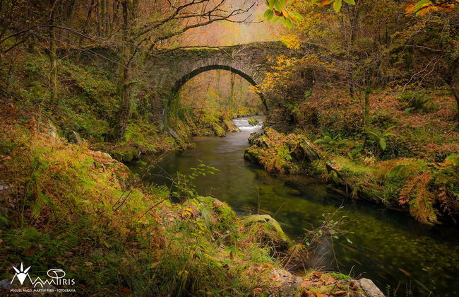 Apartamentos Cudillero - Foto 75