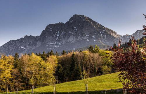 Haus Vogl Anger - Ferienwohnungen mit privater Sauna und beheizten Salzwasser Pool in Panoramalage und Nähe zu Salzburg und Berchtesgaden - Foto 38