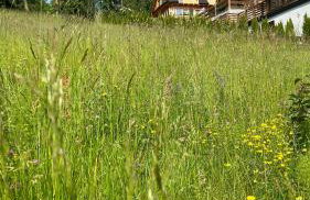 Dom na Zielonym Wzgórzu z własną Sauną i Jacuzzi - Foto 64