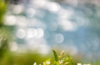 Torbole Holiday House - Foto 36