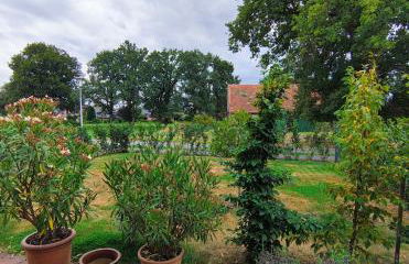 Feldzauber - Foto 29