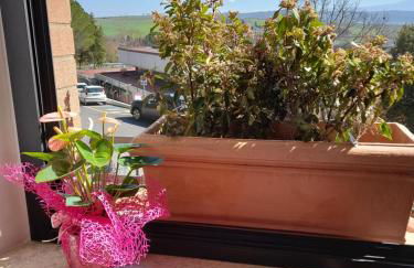 Un passo alla volta - Foto 13