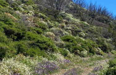 Casa La Sabina - Luxury Villa On The Balcony of The Atlantic - Minimum Period 7 Days - Foto 43